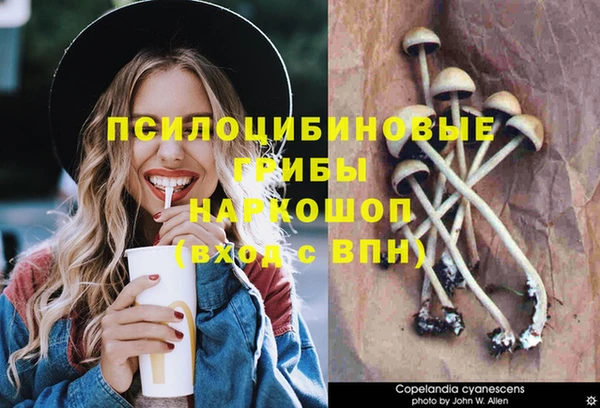 амф Беломорск