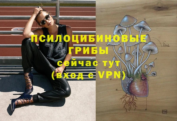 амф Беломорск
