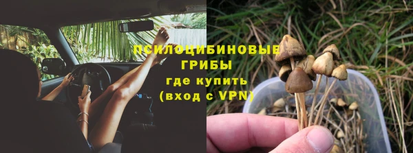 амф Беломорск