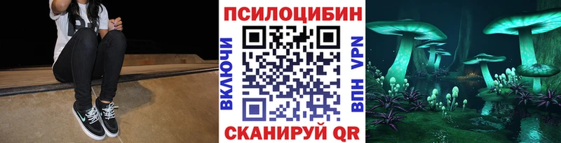 kraken как войти  Волхов  Галлюциногенные грибы прущие грибы 